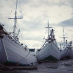 haven-paotere-makassar-sulawesi