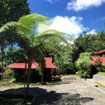 highlandresort-tomohon-sulawesi