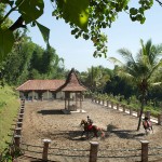 horse-back-riding-plataran-borobudur
