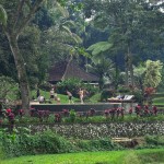ijen-resort-villas-java-balitravel