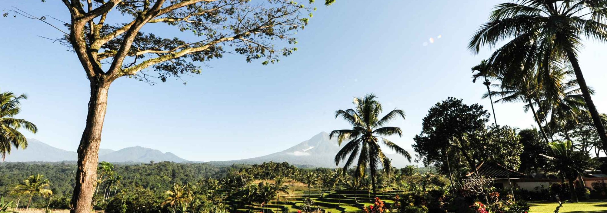 ijen-resort-villas-view-java-balitravel