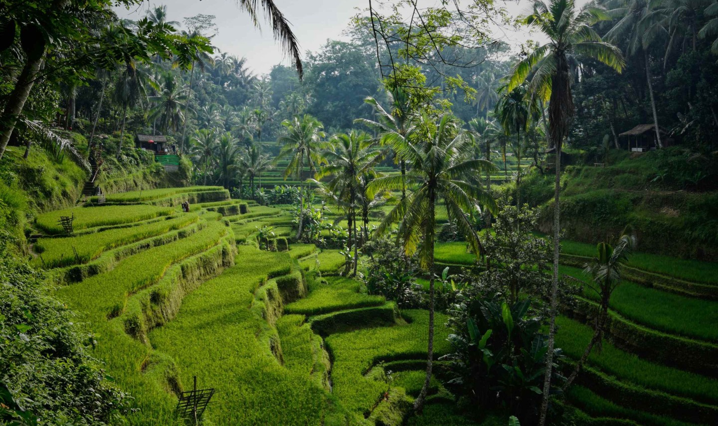indonesie-rondreizen-2-weken-unsplash-balitravel