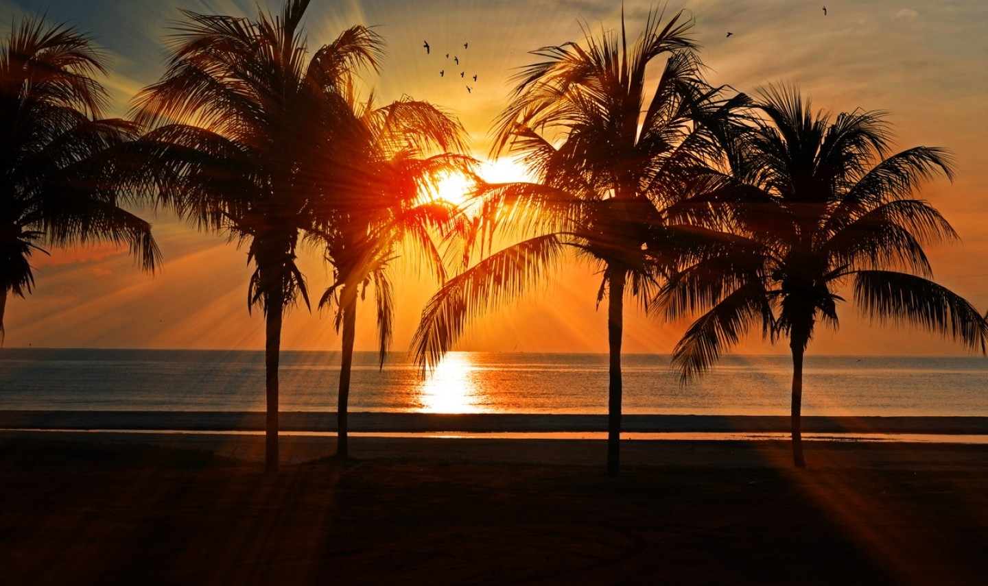 Informatie over de Gili eilanden