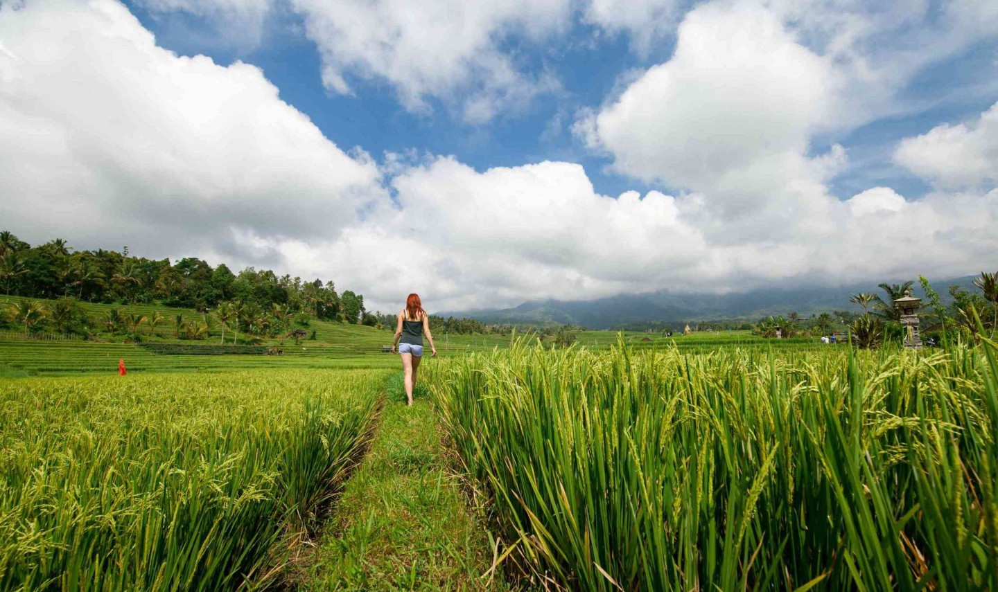 jatiluwih-rijstvelden-natuur-bali-travel