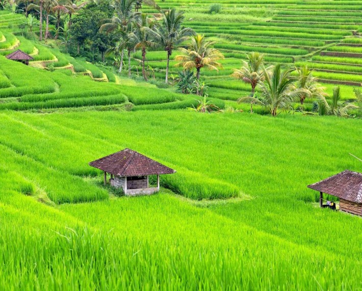 Bali Countryside - Bali Travel