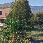 jiwa-jawa-resort-bromo-2