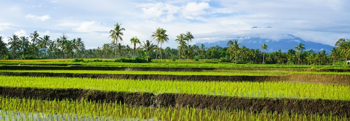 7 daagse privé reis Ongelooflijk Oost-Java - Bali Travel