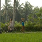 kamandalu-ubud-fietsen-balitravel
