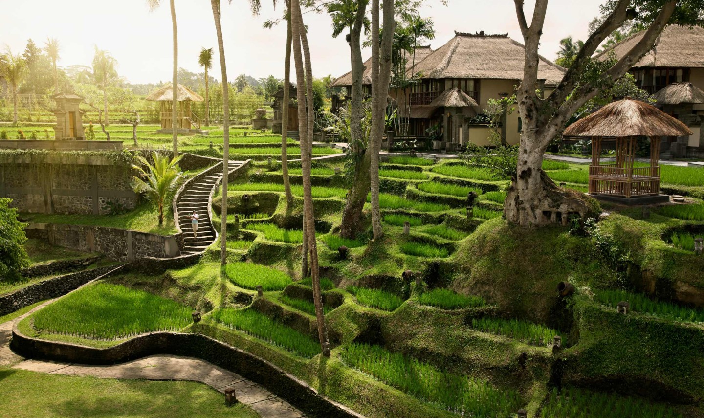 kamandalu-ubud-rijstvelden-bali-travel