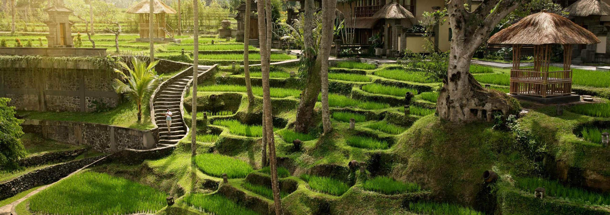 kamandalu-ubud-rijstvelden-bali-travel