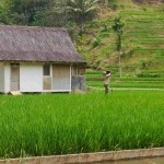 kampung-naga-traditioneel-dorp-excursie-java