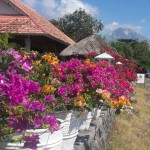 kembali-beach-bungalows