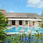 kresna-hotel-wonosobo-1