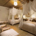 lanai-rice-terrace-twin-wape-di-ume-ubud