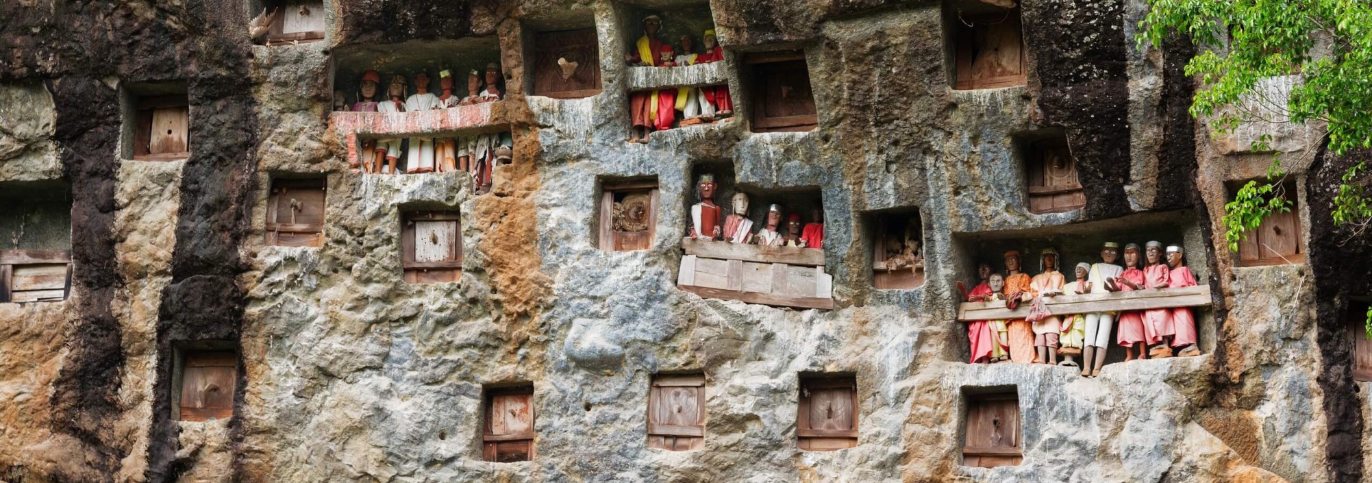 lemo-tau-tau-poppen-sulawesi