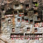 lemo-tau-tau-poppen-sulawesi