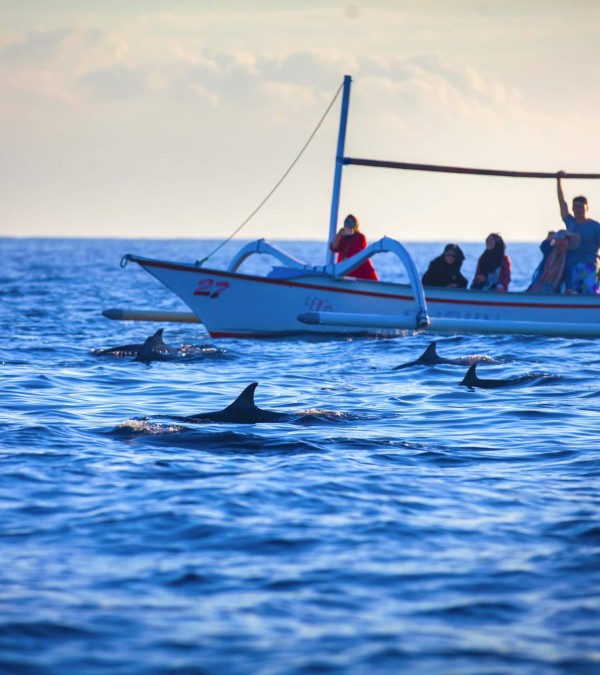 lovina-bali-dolfijnen-balitravel