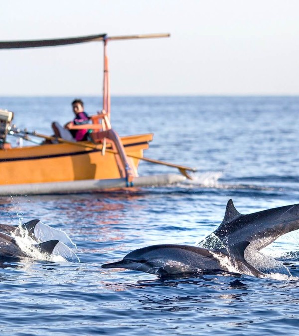 lovina-dolfijnen-bali