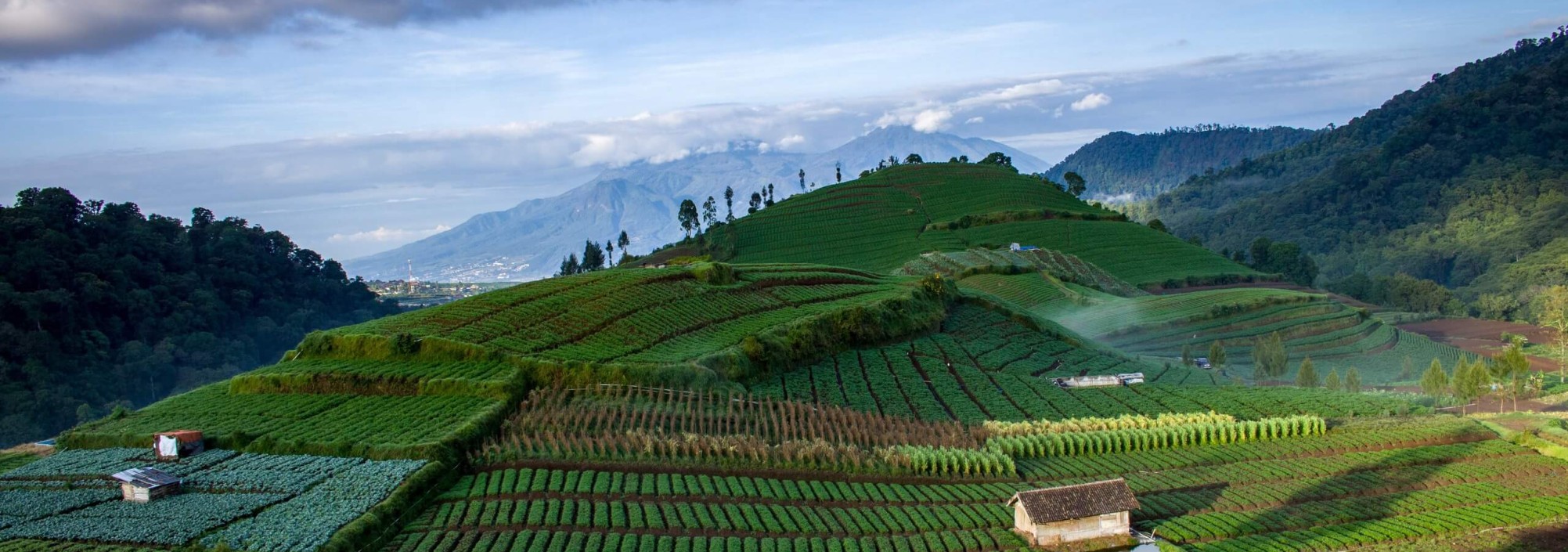 malang-cangar-hill-java-balitravel