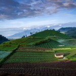 malang-cangar-hill-java-balitravel