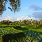 mambal-ubud-bali