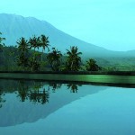 manggis-gunung-agung