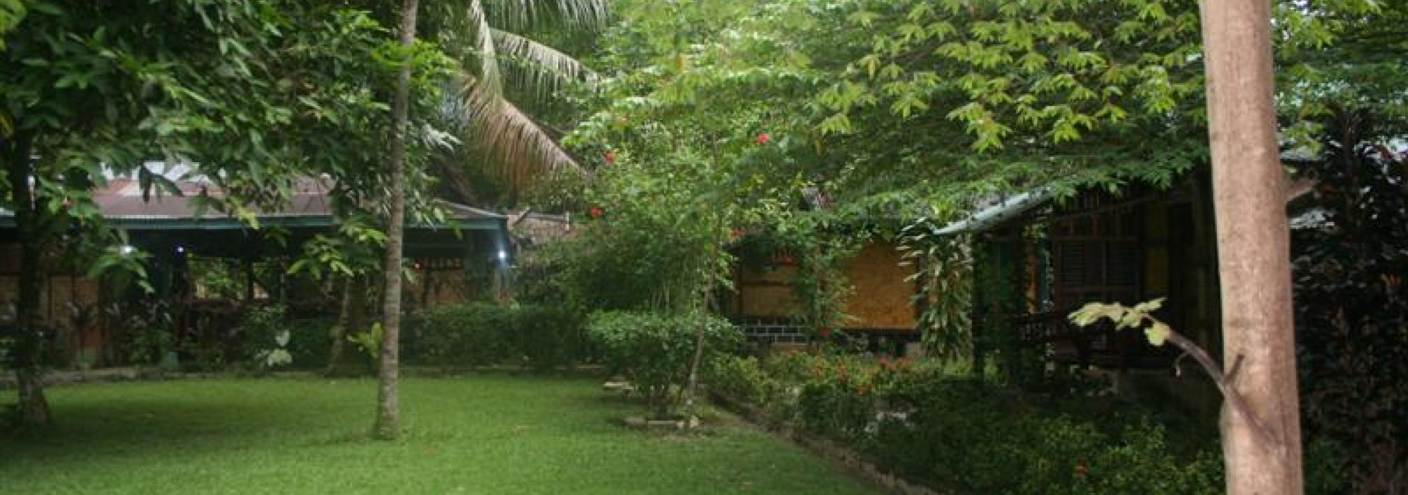 mega-inn-guesthouse-tangkahan-1