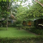 mega-inn-guesthouse-tangkahan-1