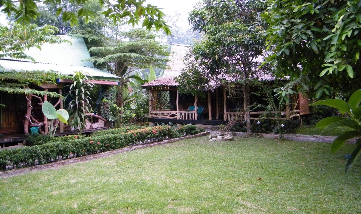 mega-inn-guesthouse-tangkahan-balitravel-1