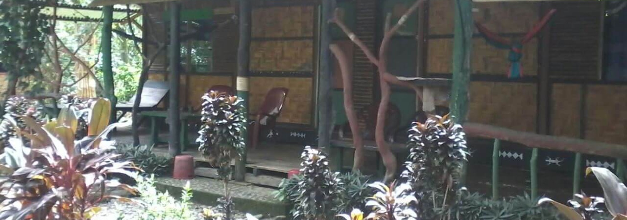 mega-inn-guesthouse-tangkahan-balitravel-2