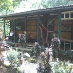 mega-inn-guesthouse-tangkahan-balitravel-2