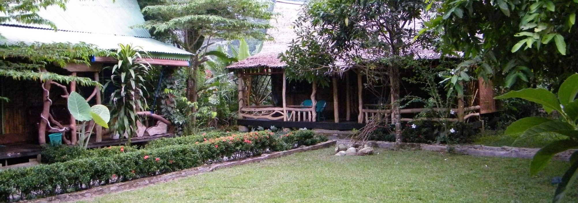 mega-inn-guesthouse-tangkahan-balitravel