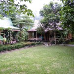 mega-inn-guesthouse-tangkahan-balitravel