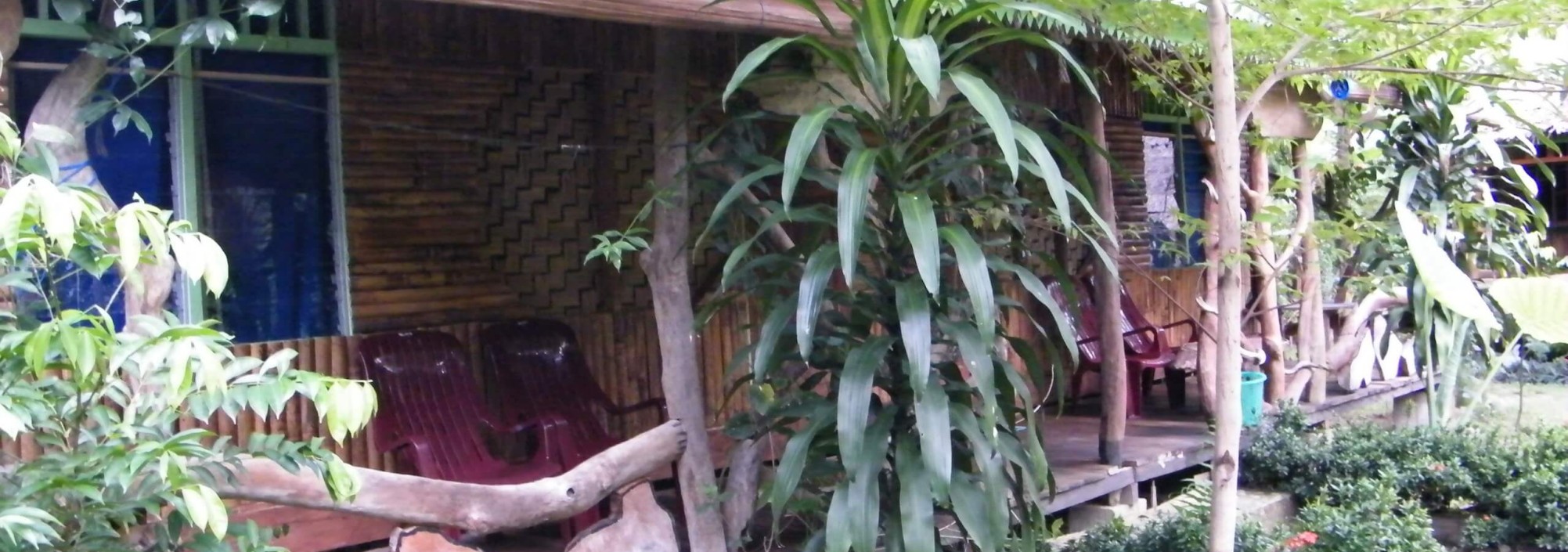 mega-inn-guesthouse-tangkahan-sumatra-10