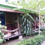 mega-inn-guesthouse-tangkahan-sumatra-10