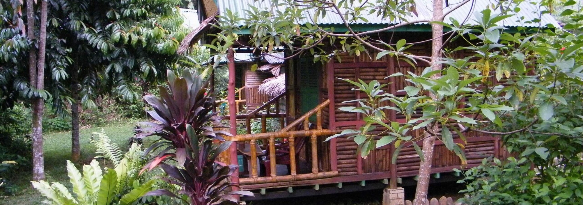 mega-inn-guesthouse-tangkahan-sumatra-balitravel
