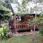 mega-inn-guesthouse-tangkahan-sumatra-balitravel