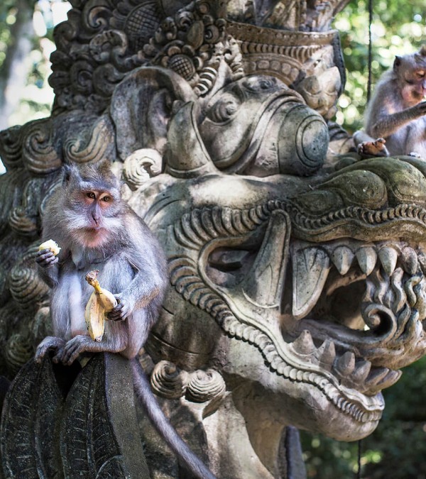 monkey-forest-ubud-balitravel-1