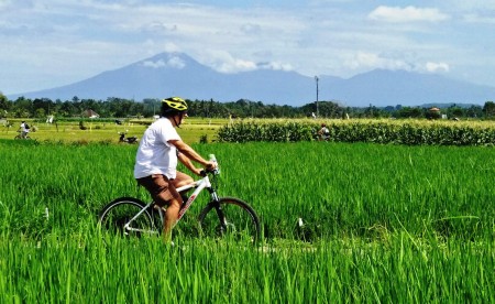 mountainbike-bali