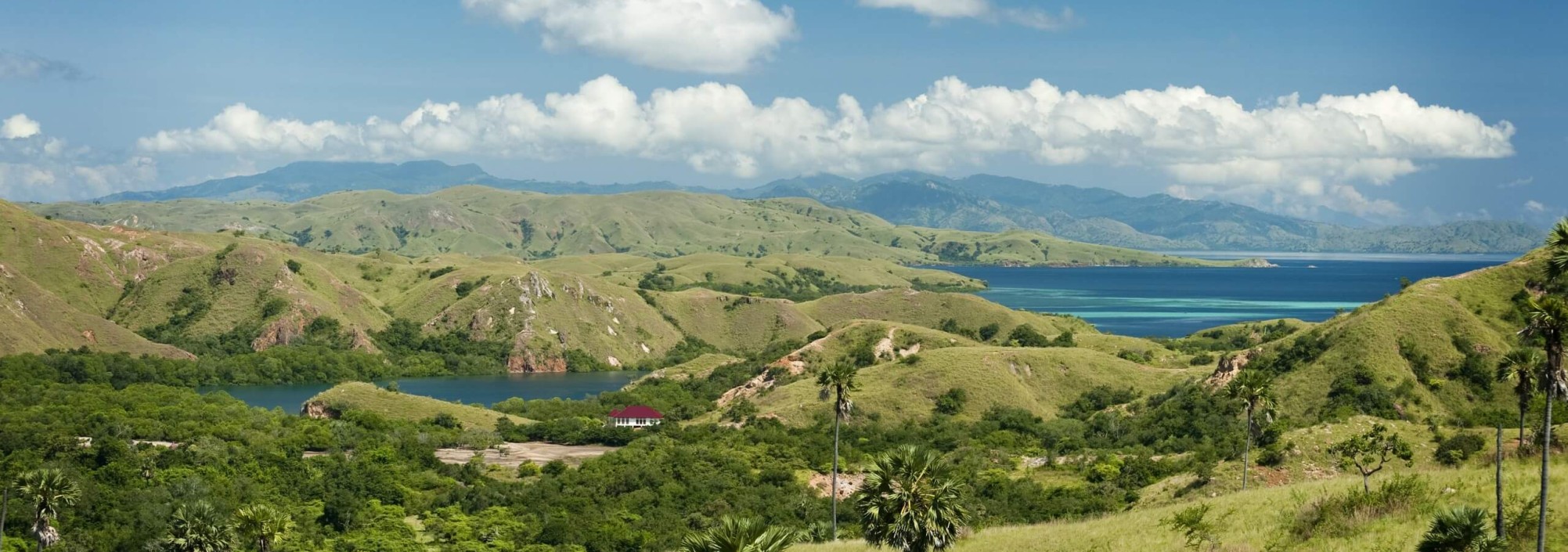 natuur-rinca-eiland-komodo-eilanden