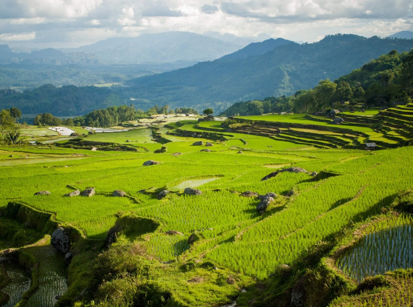 ontdek-tana-toraja-avontuur-meerdaagse-tour-sulawesi-bali-travel