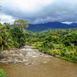 natuur-tropisch-regenwoud-sumatra