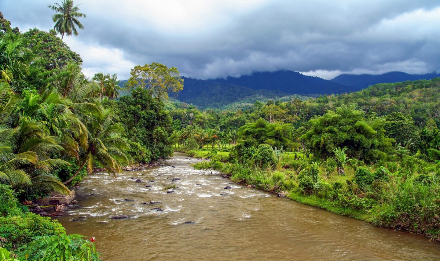 natuur-tropisch-regenwoud-sumatra