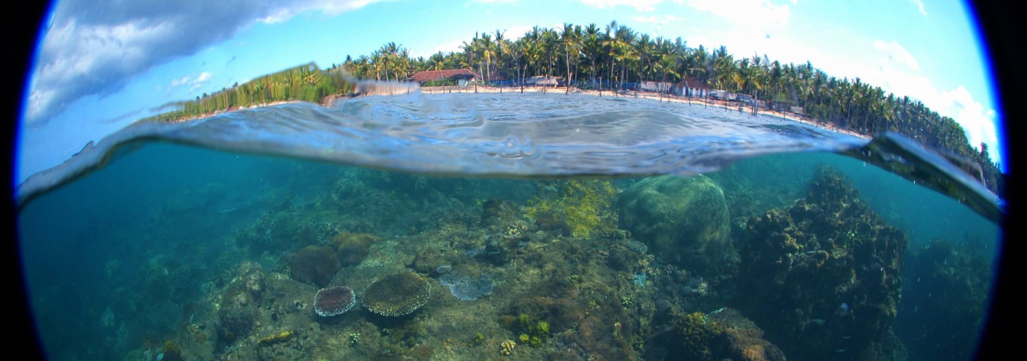 nusa-lembongan-excursie-balitravel