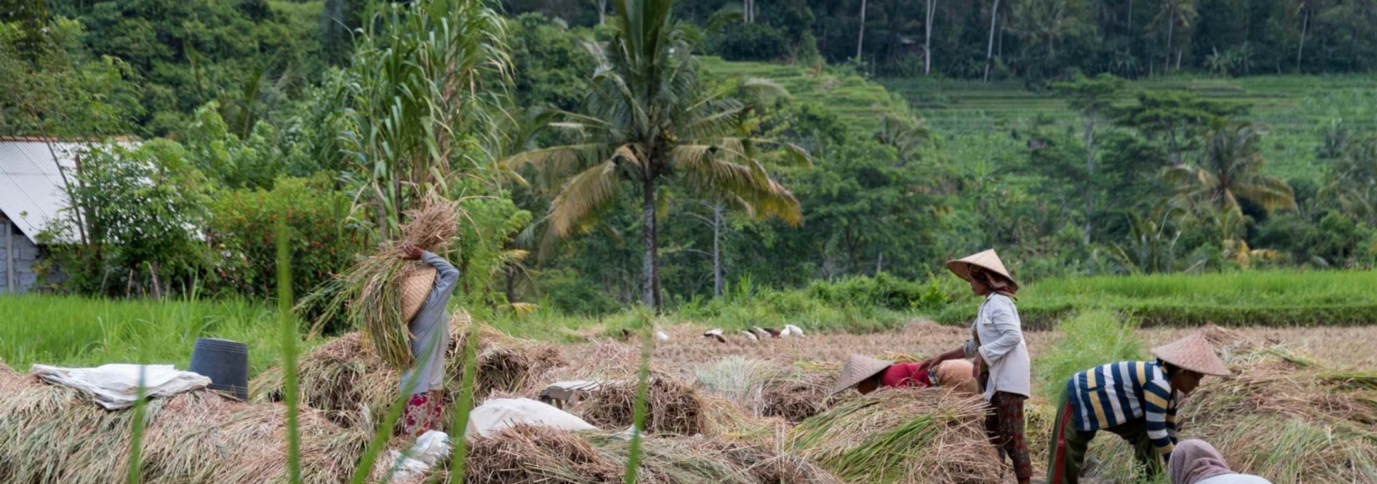 omgeving-cepik-villa-bali