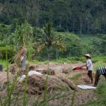 omgeving-cepik-villa-bali