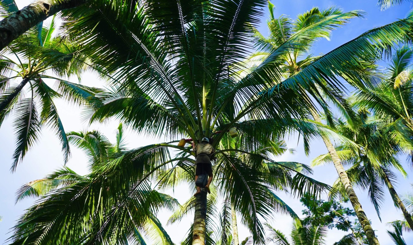 oost-java-kalibaru-balitravel-4