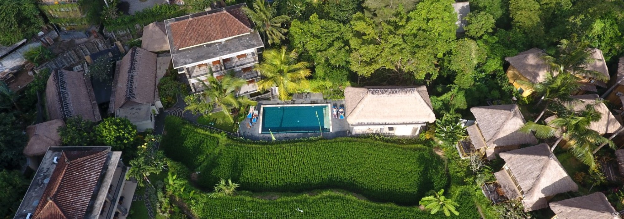 overview-biyukukung-ubud-balitravel-1