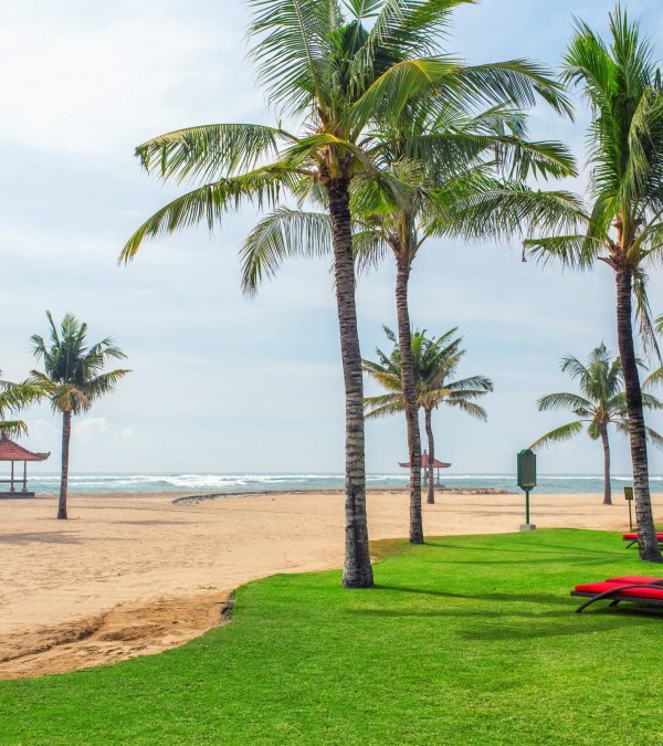 palmbomen-tanjung-benoa-bali