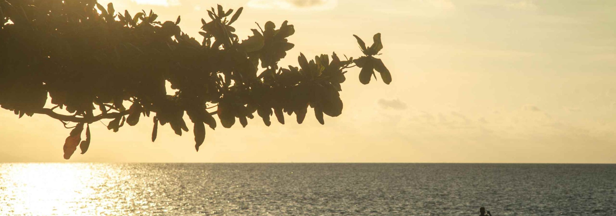 peddelen-zee-the-lovina-balitravel